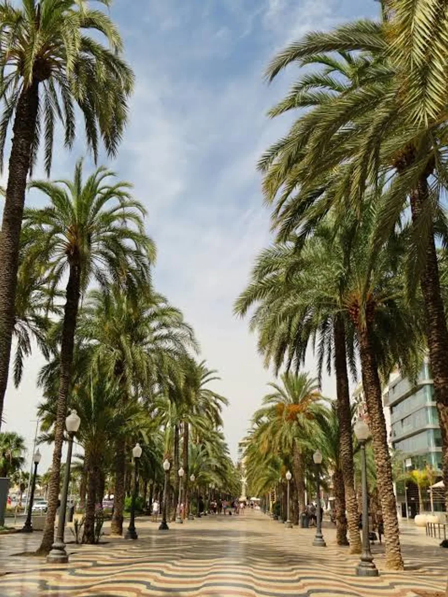 Alicante