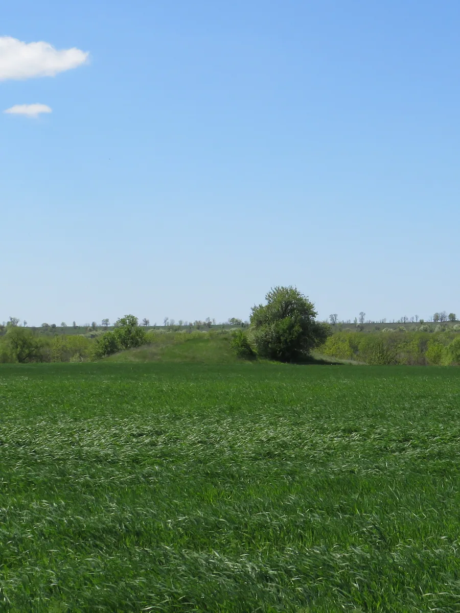 Apollonivskyi Paleovolcano