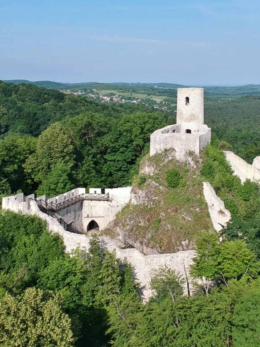 Castle in Pilica
