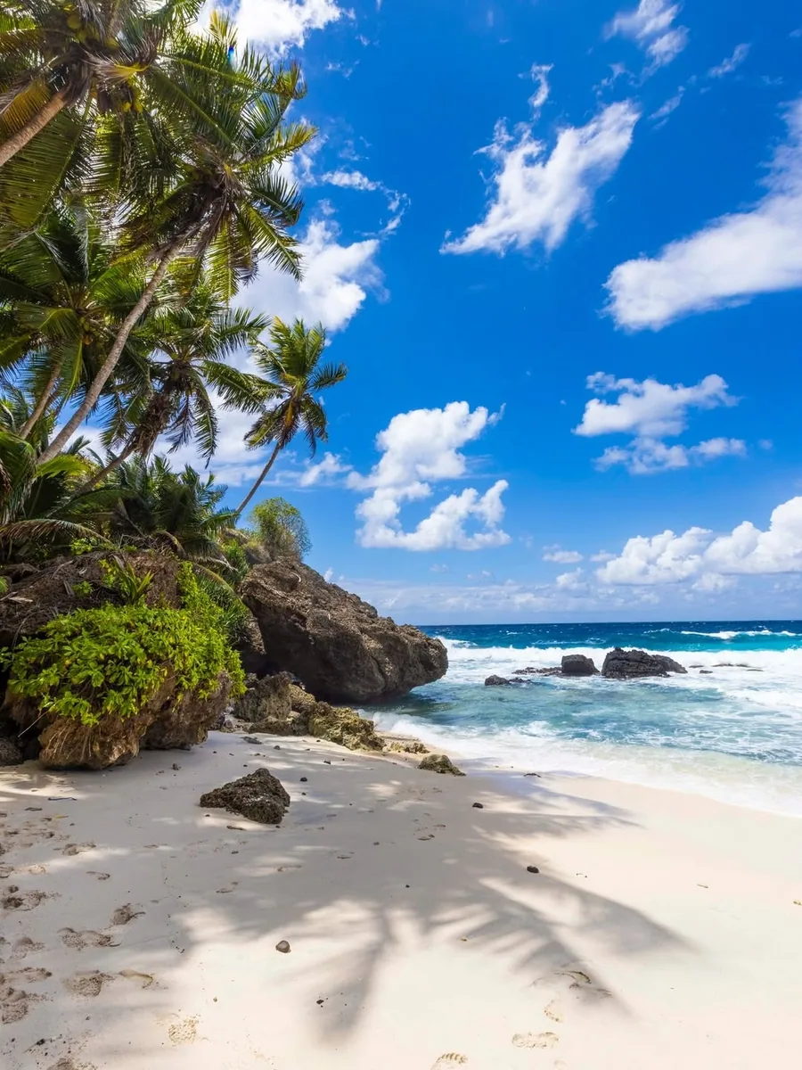Dolly Beach