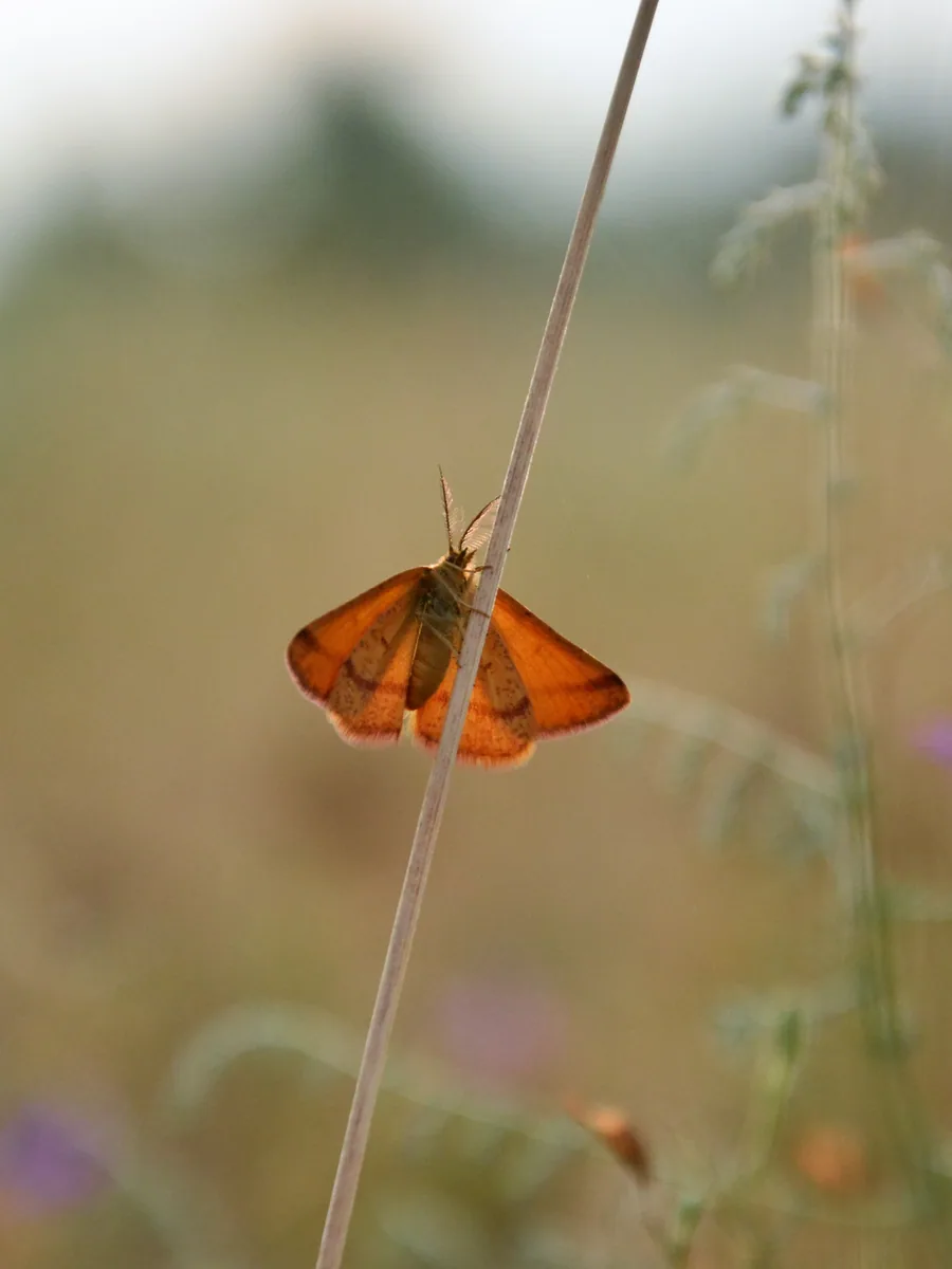 Dzharylhach National Nature Park