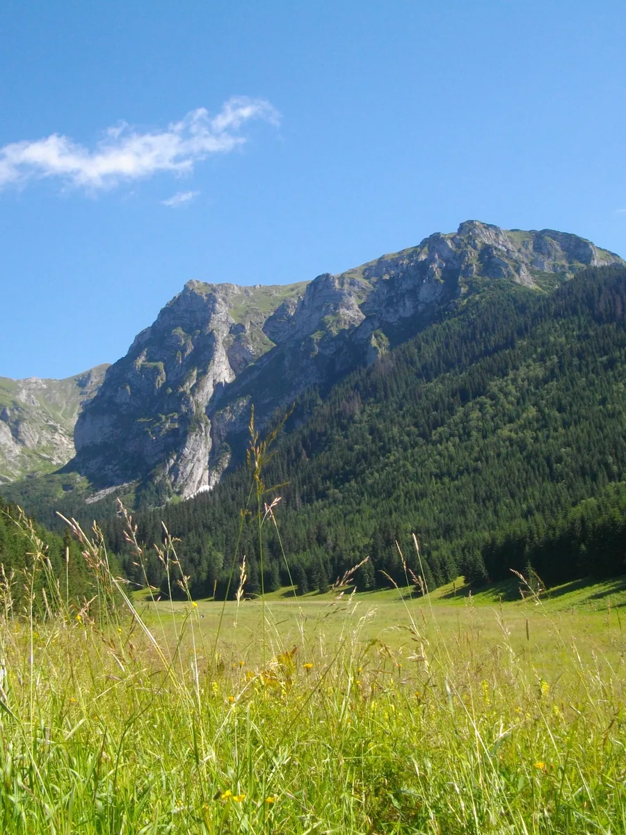 Dziura