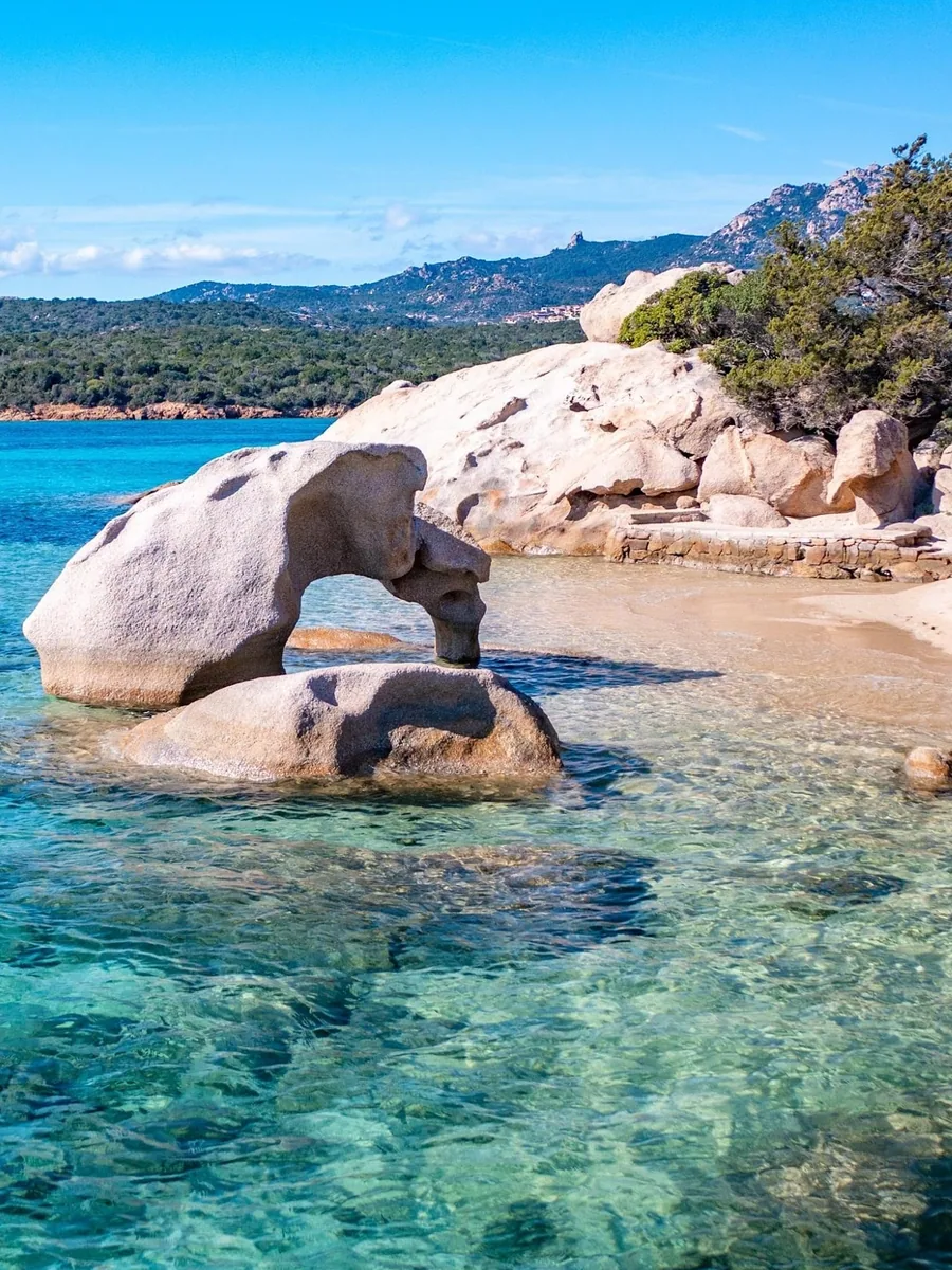 Elephant Beach