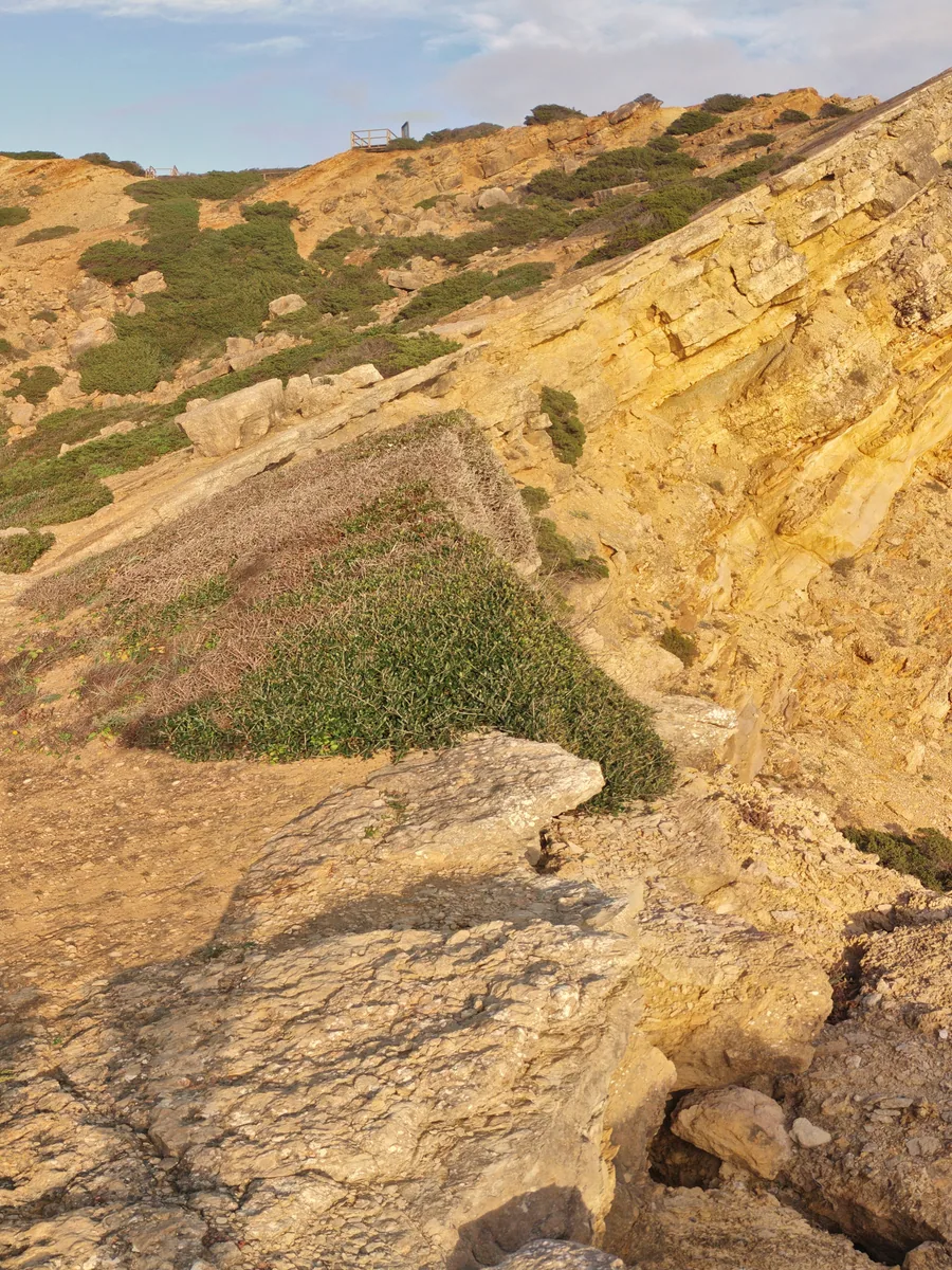 Lagosteiros Natural Monument