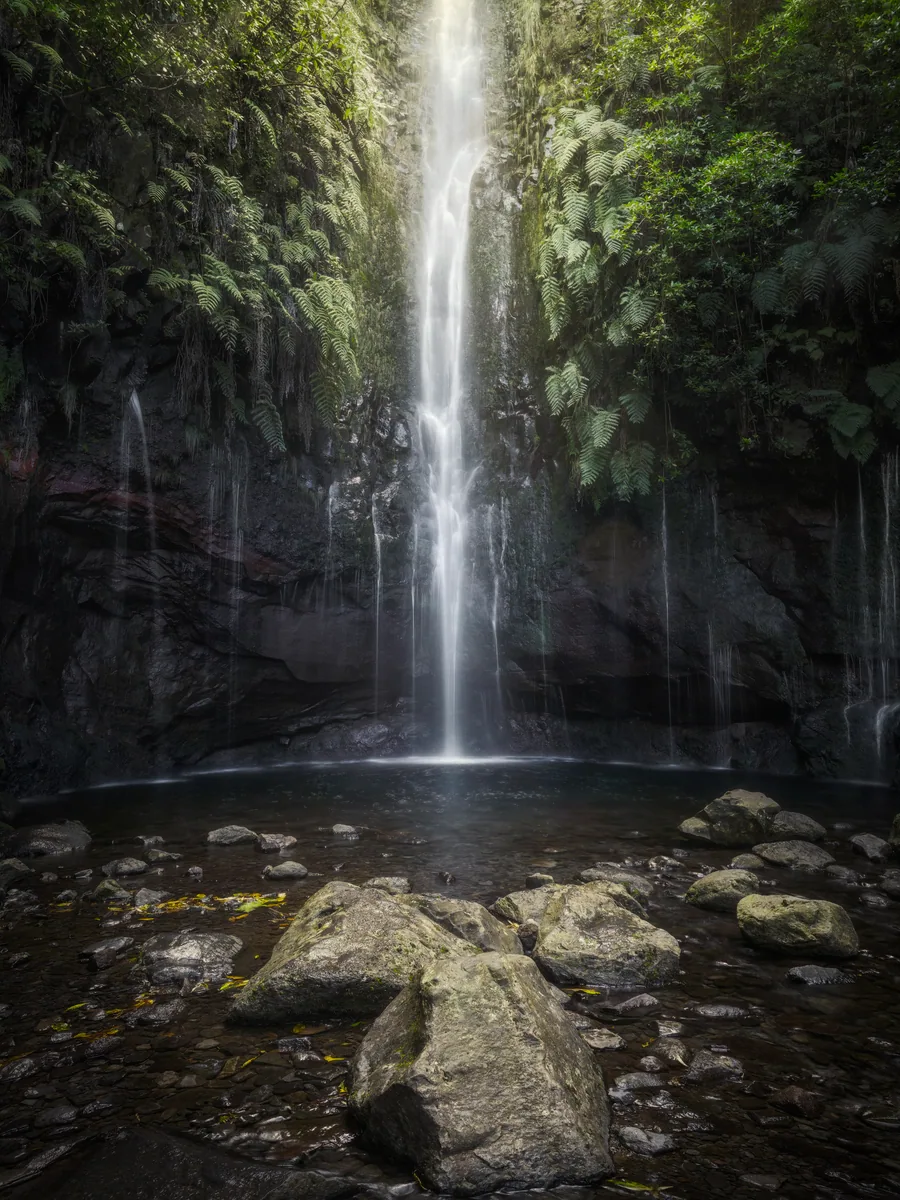 Levada do Alecrim