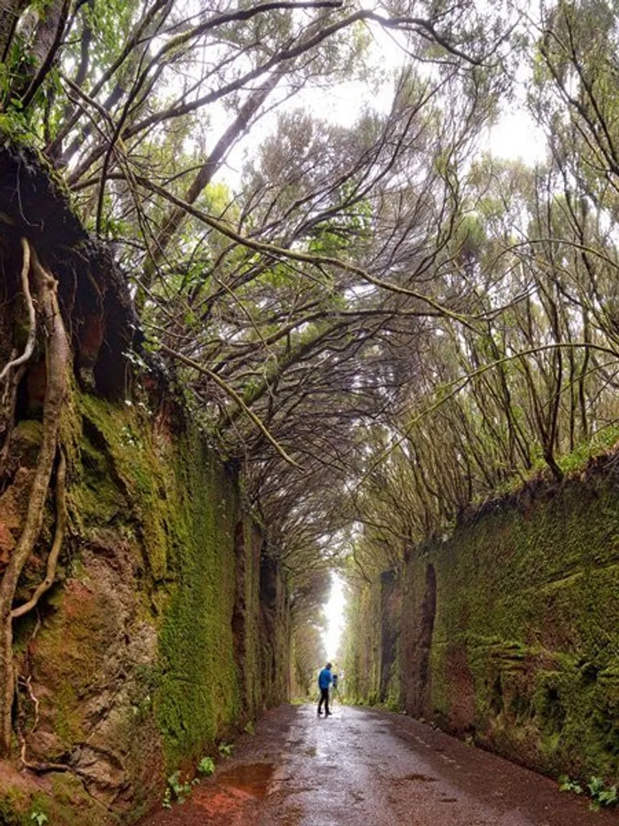 Parque Rural de Anaga