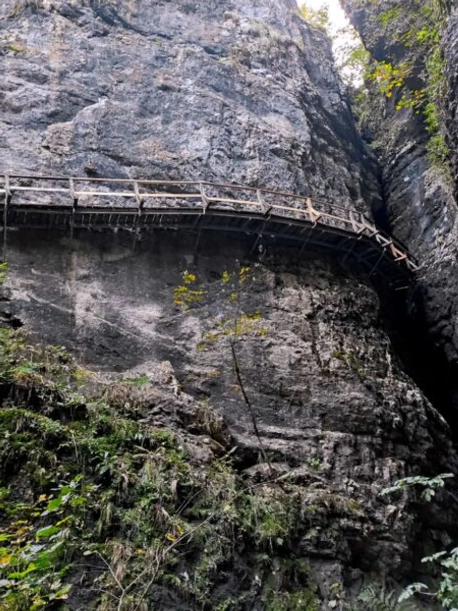 Pokljuka gorge
