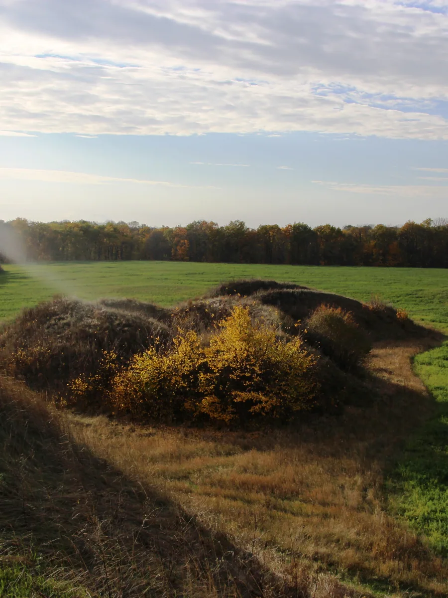 Posulsky Mounds