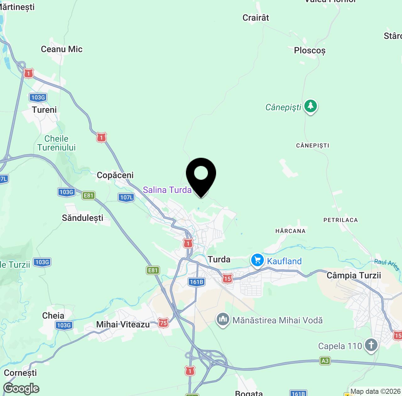 Map preview for Salina Turda