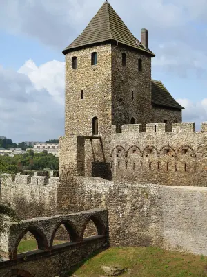 Bedzin Castle