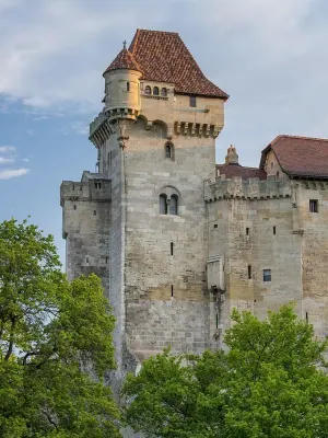 Burg Liechtenstein