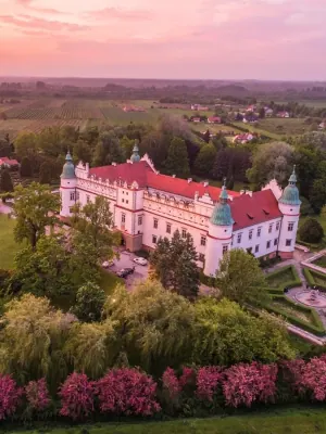 Castle in Baranów
