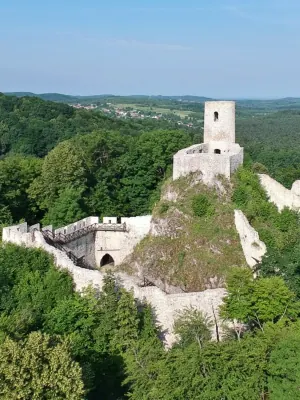 Castle in Pilica