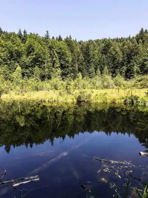 Cranberry Lake