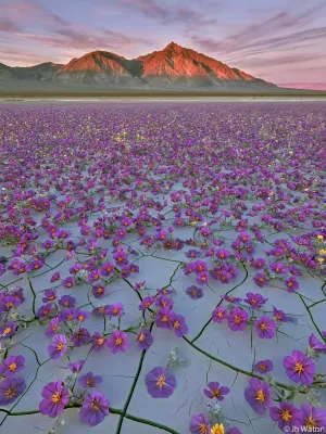 Death Valley National Park