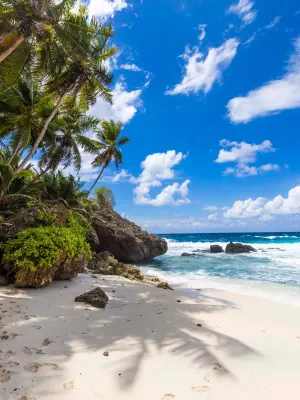 Dolly Beach