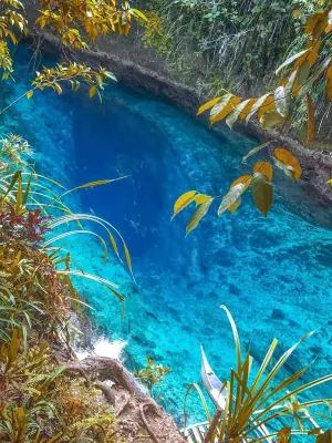 Enchanted River