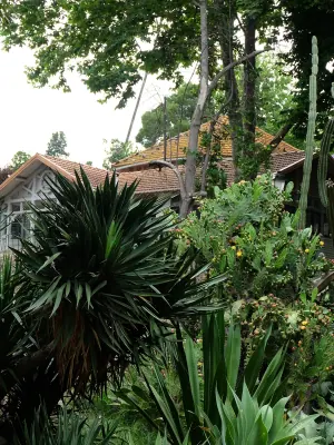Estrela Garden
