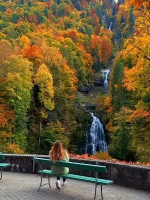 Giessbach Waterfalls viewpoint