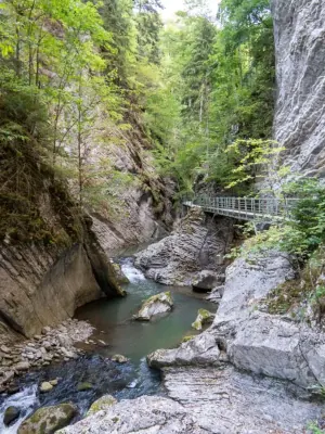 Gorges de la Jogne