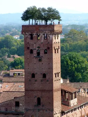 Guinigi Tower