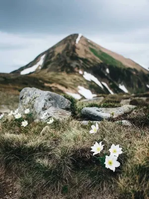 Hoverla