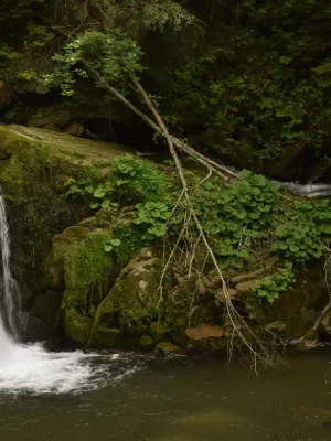 Kamianka Waterfall