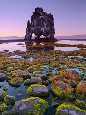 Hvítserkur