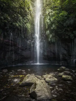 Levada do Alecrim