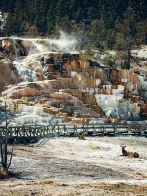 Mammoth Hot Springs