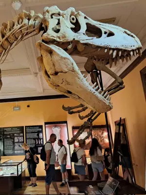 Museum of Evolution