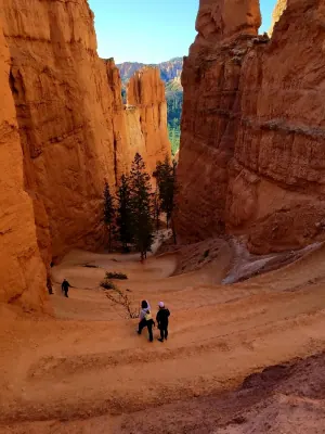 Navajo Loop Trail