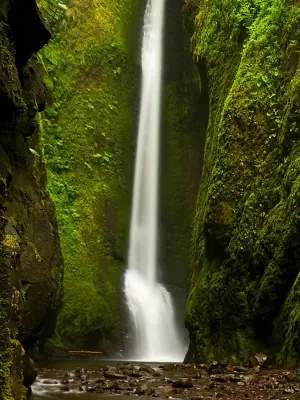 Oneonta Gorge