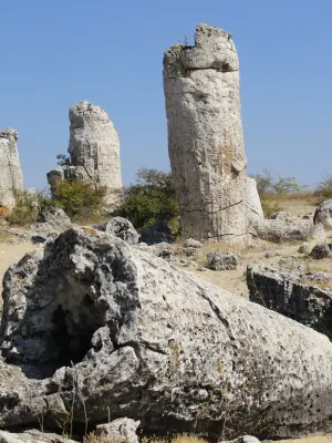 Pobitite Kamuni