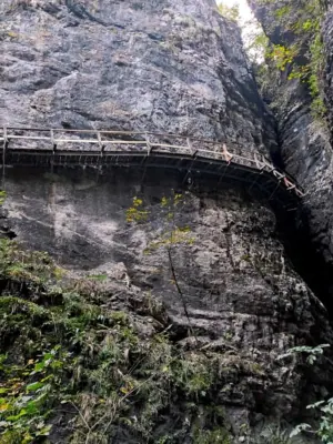 Pokljuka gorge