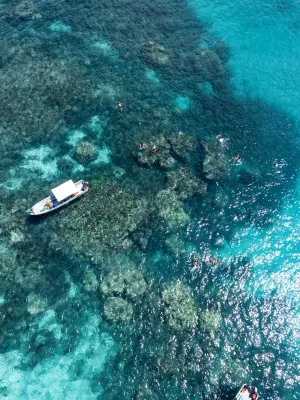 Pungume Island Diving