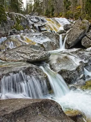 Studenovodsky Brook