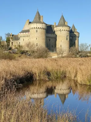Suscinio Castle