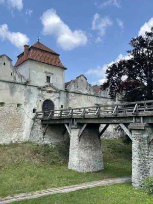 Svirzh castle