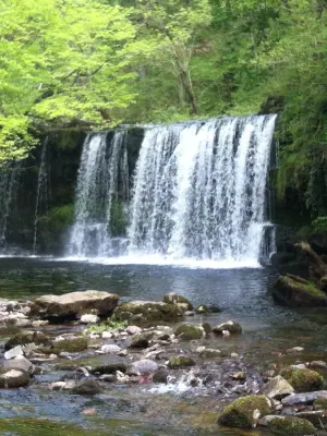 The Wild Waterfall