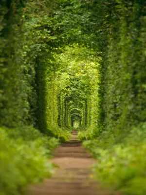 Tunnel of Love