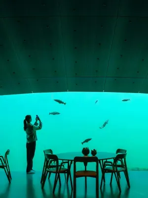 Under Restaurant 