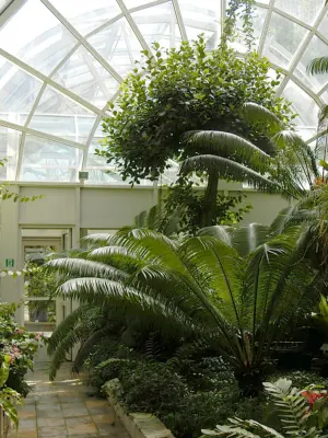 Warsaw University Botanical Garden