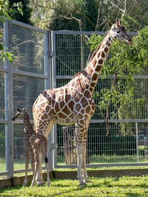 Warsaw Zoo